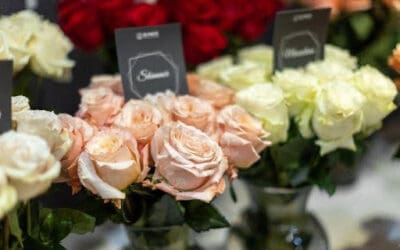 The Types of Flower Companies for Blossoming Businesses